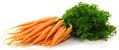 tag Carrot icon